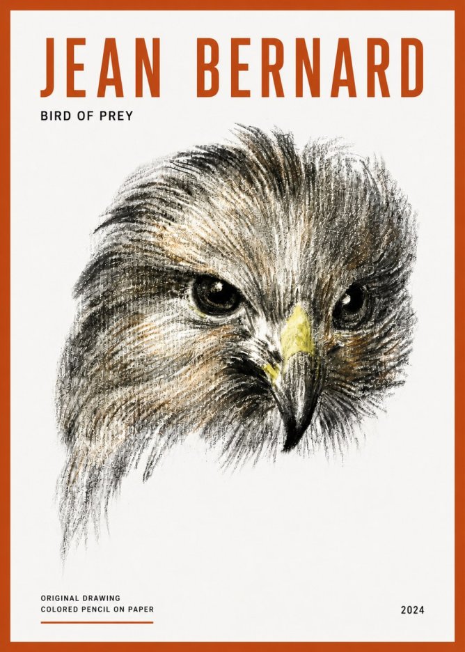 Jean Bernard Bird of Prey No5 - Plakát