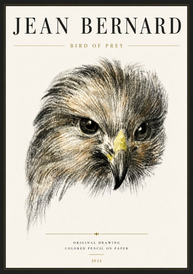Jean Bernard Bird of Prey No6 - Plakát