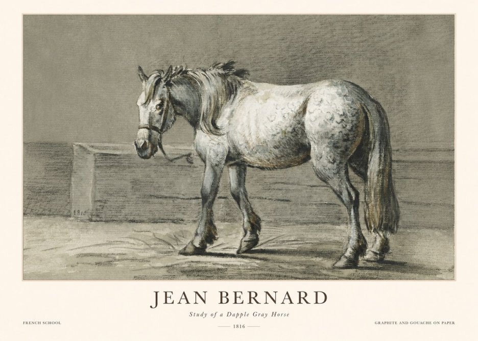 Jean Bernard Study of a Dapple Gray Horse No1 - Plakát