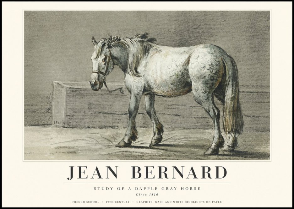 Jean Bernard Study of a Dapple Gray Horse No3 - Plakát