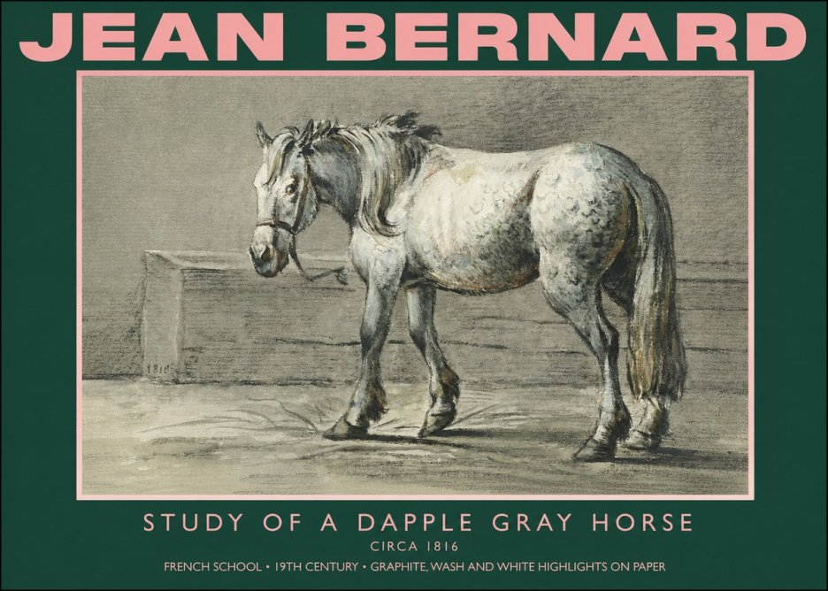 Jean Bernard Study of a Dapple Gray Horse No4 - Plakát