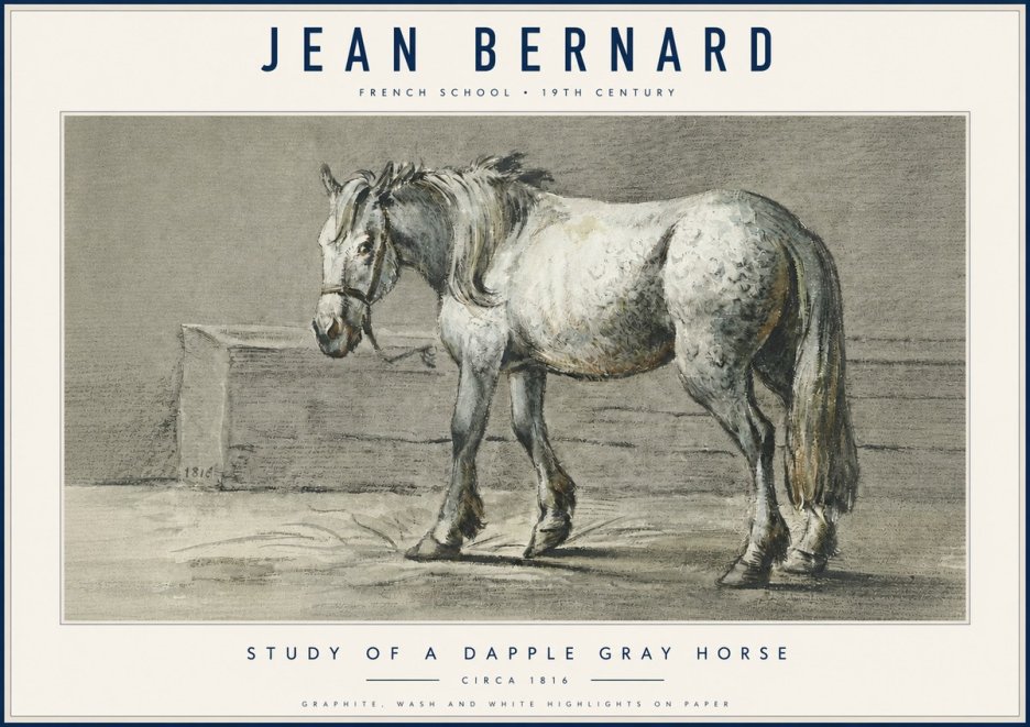 Jean Bernard Study of a Dapple Gray Horse No6 - Plakát