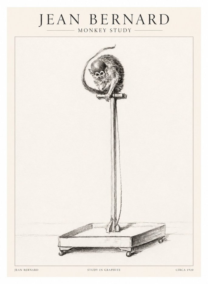 Jean Bernard Monkey Study No1 - Plakát
