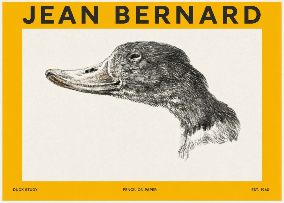 Jean Bernard Study of a Duck No3 - Plakát