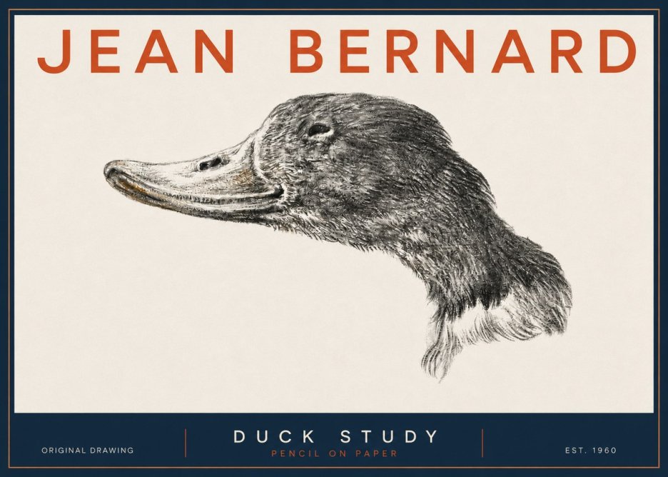 Jean Bernard Study of a Duck No5 - Plakát