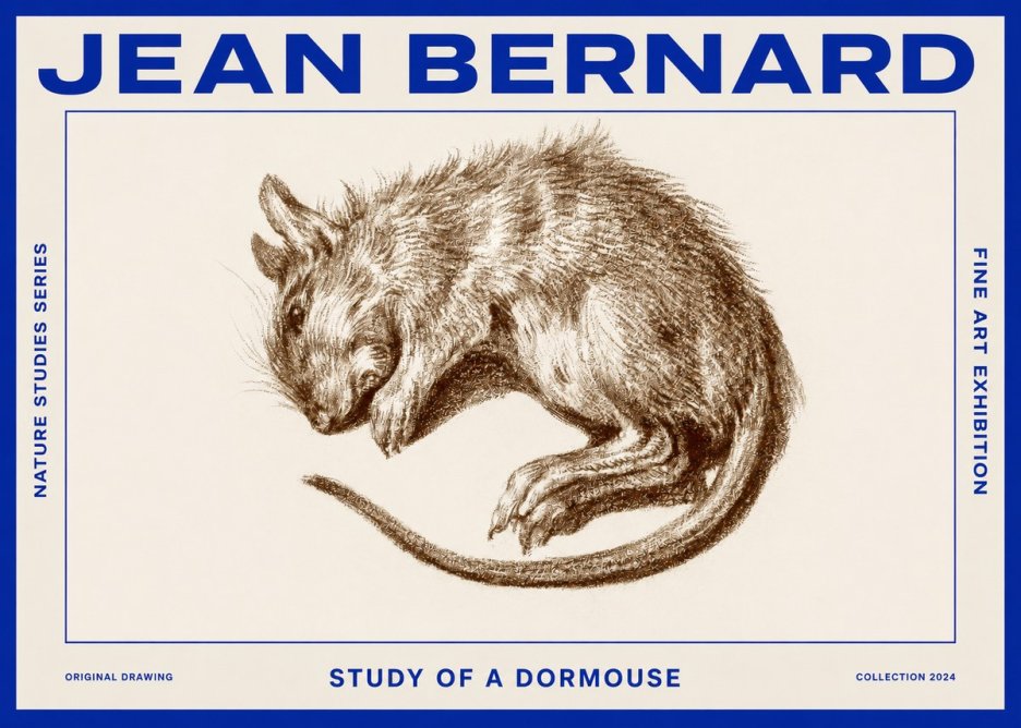 Jean Bernard Study of a Dormouse No2 - Plakát