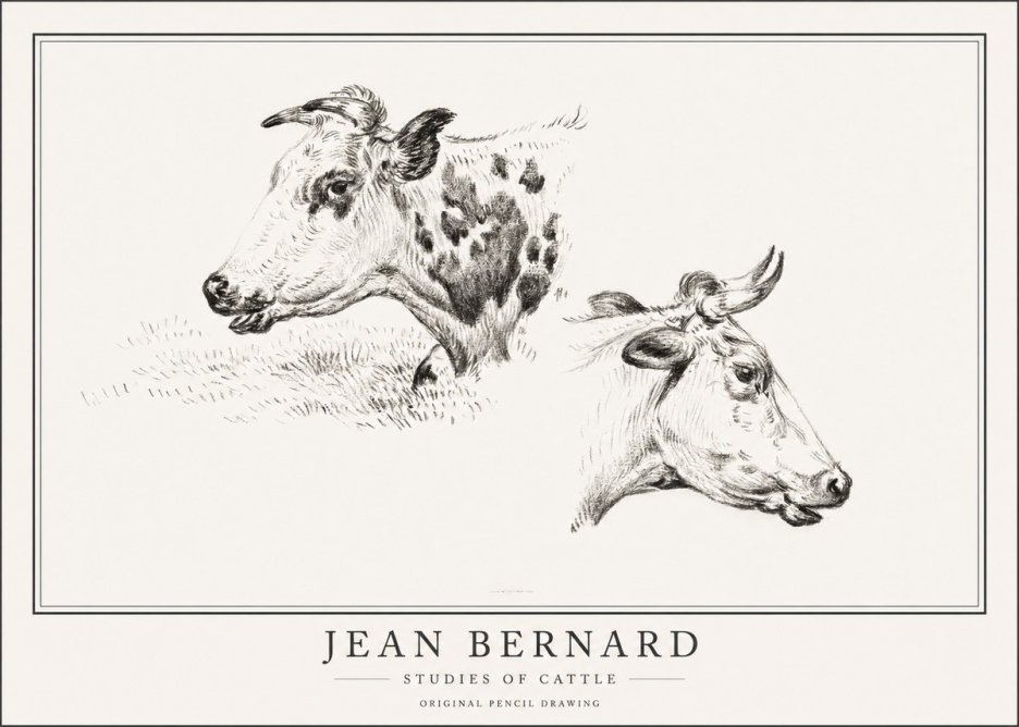 Jean Bernard Studies of Cattle I No1 - Plakát