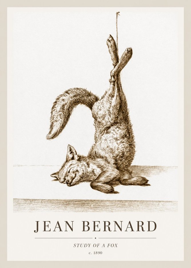 Jean Bernard Study of a Fox No1 - Plakát