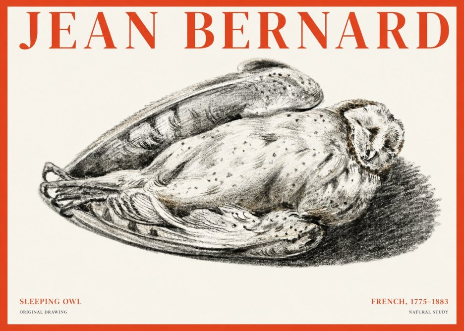 Jean Bernard Sleeping Owl No1 - Plakát
