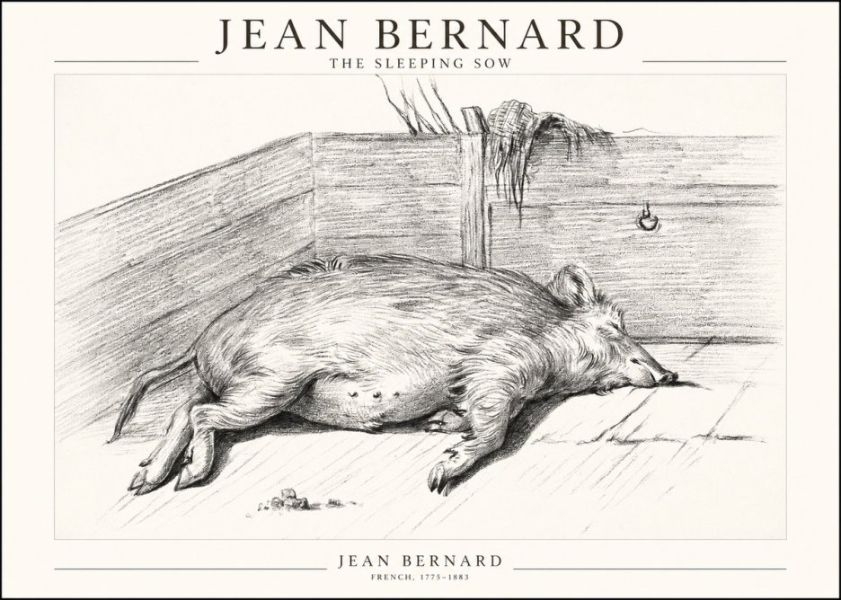 Jean Bernard The Sleeping Sow No1 - Plakát