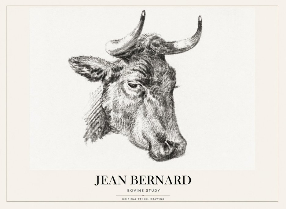 Jean Bernard Bovine Study I No1 - Plakát