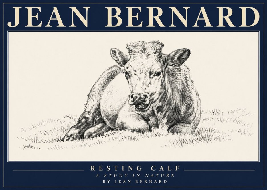 Jean Bernard Resting Calf I No4 - Plakát