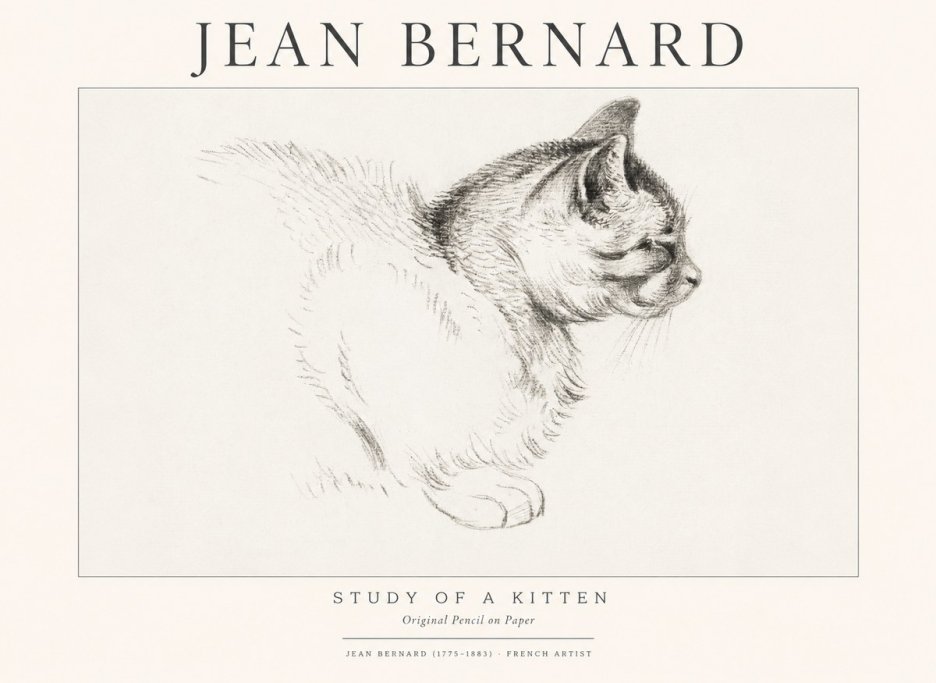 Jean Bernard Study of a Kitten II No1 - Plakát