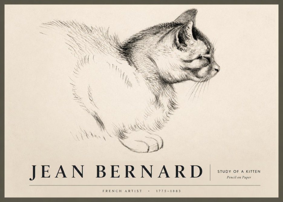Jean Bernard Study of a Kitten II No2 - Plakát