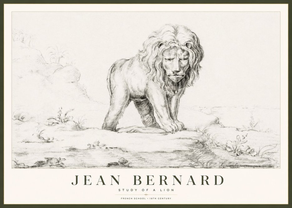 Jean Bernard Study of a Lion I No1 - Plakát
