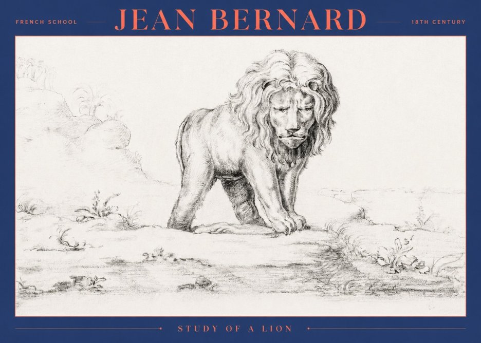 Jean Bernard Study of a Lion I No2 - Plakát