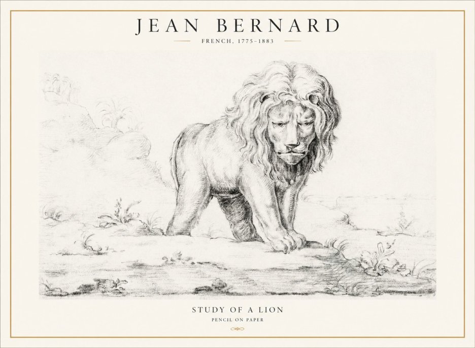 Jean Bernard Study of a Lion I No4 - Plakát