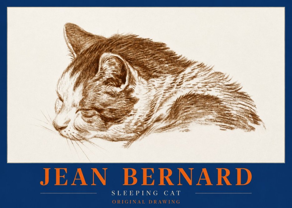 Jean Bernard Sleeping Cat II No2 - Plakát