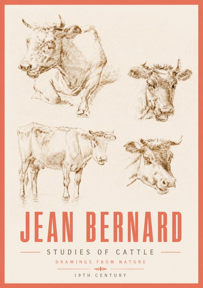 Jean Bernard Studies of Cattle II No5 - Plakát