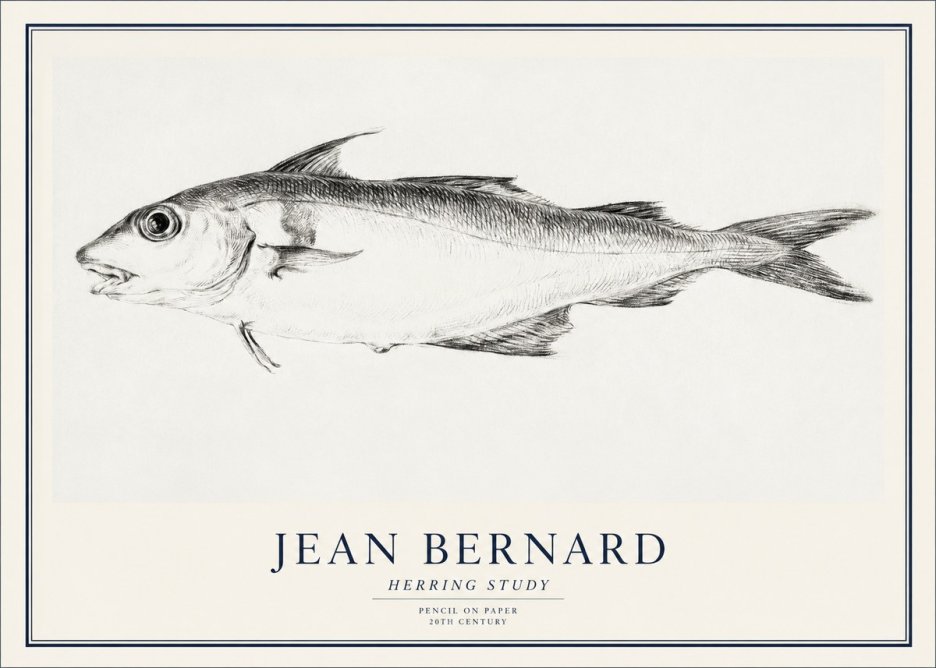 Jean Bernard Herring Study No1 - Plakát