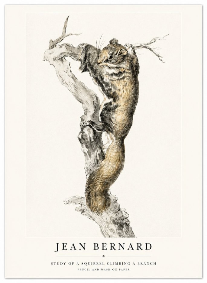 Jean Bernard Study of a Squirrel Climbing a Branch No1 - Plakát