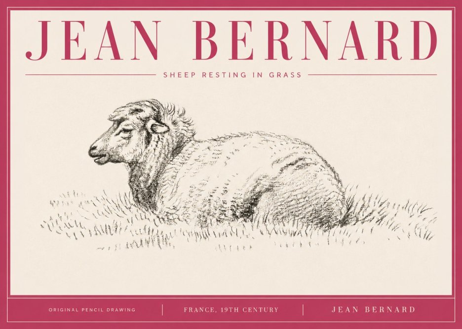 Jean Bernard Sheep Resting in Grass No4 - Plakát