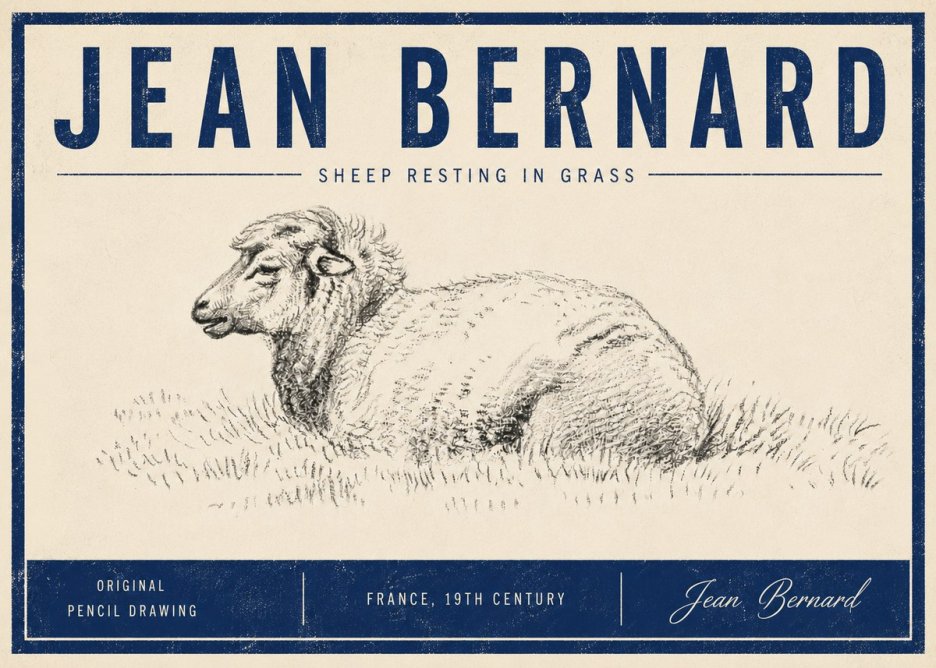 Jean Bernard Sheep Resting in Grass No5 - Plakát