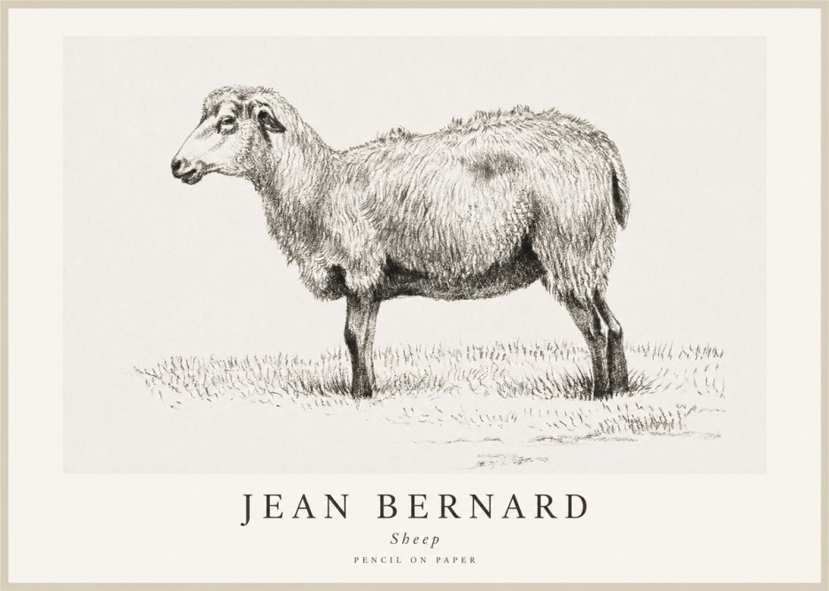 Jean Bernard Sheep No1 - Plakát
