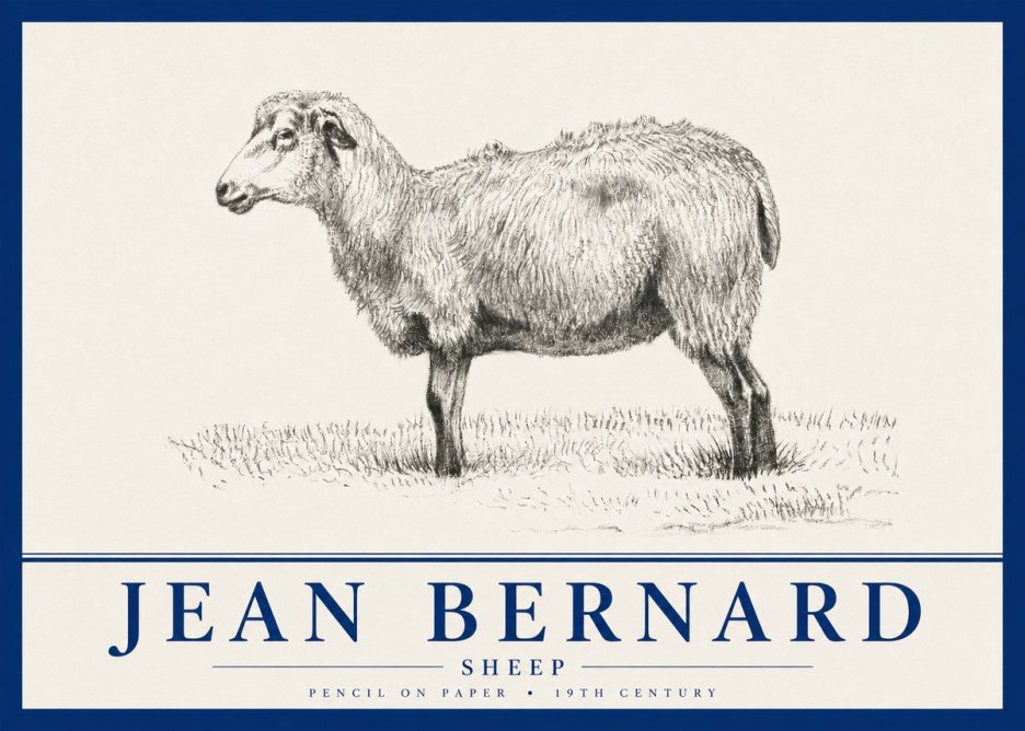 Jean Bernard Sheep No4 - Plakát