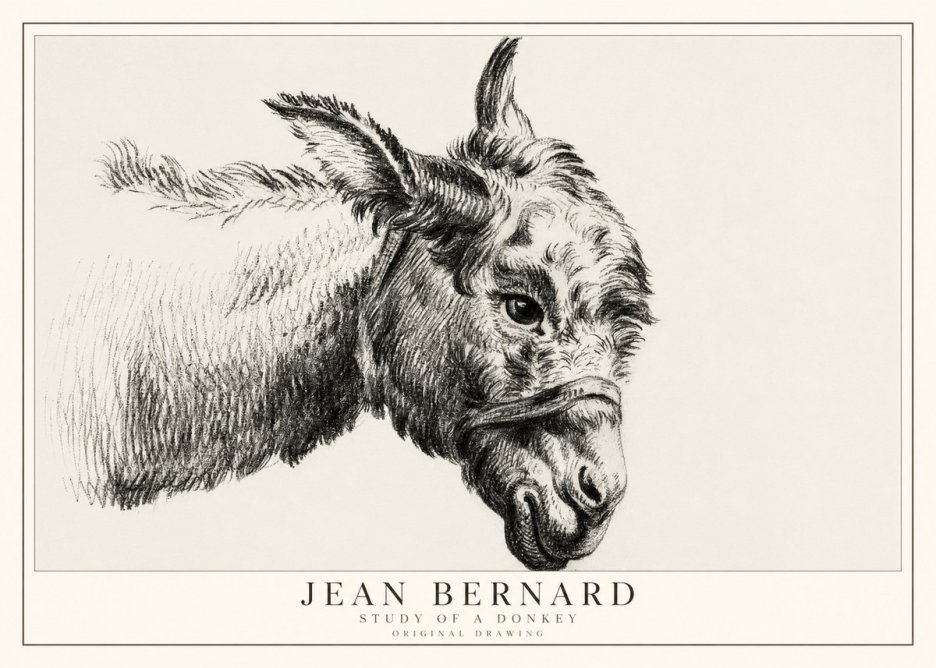 Jean Bernard Study of a Donkey I No1 - Plakát