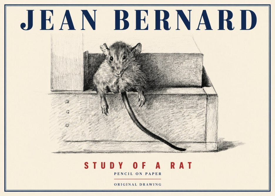 Jean Bernard Study of a Rat I No4 - Plakát