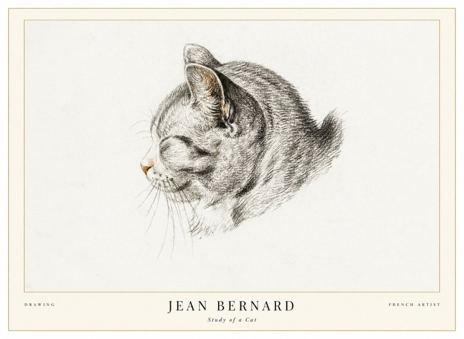 Jean Bernard Study of a Cat I No1 - Plakát