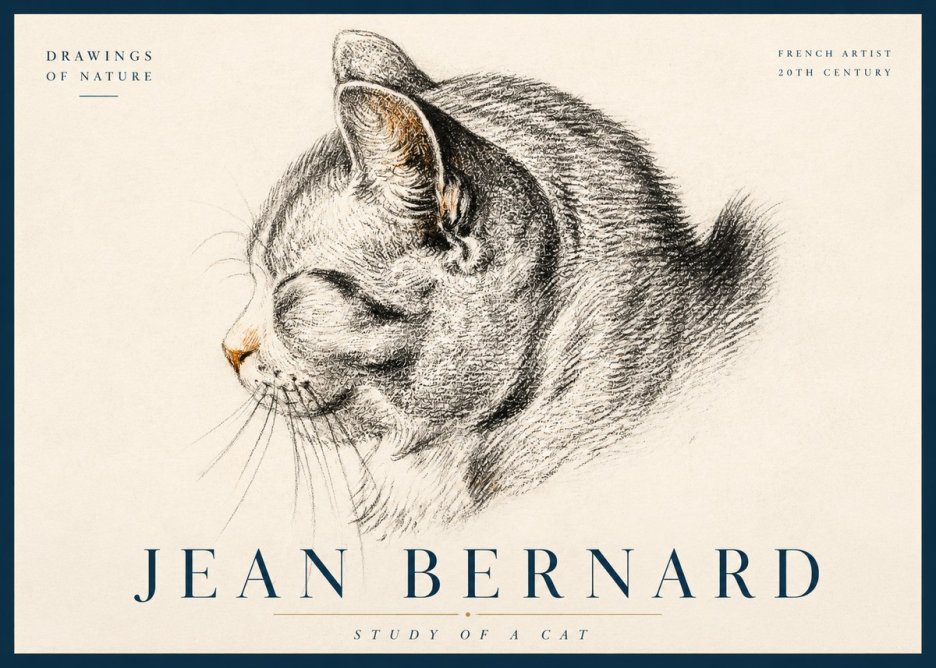 Jean Bernard Study of a Cat I No3 - Plakát