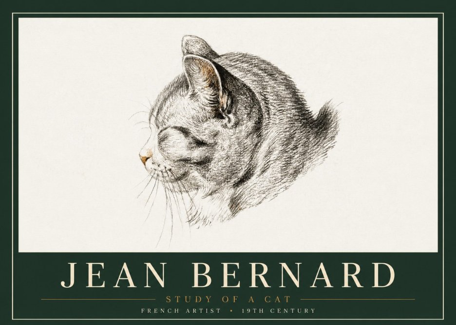 Jean Bernard Study of a Cat I No4 - Plakát