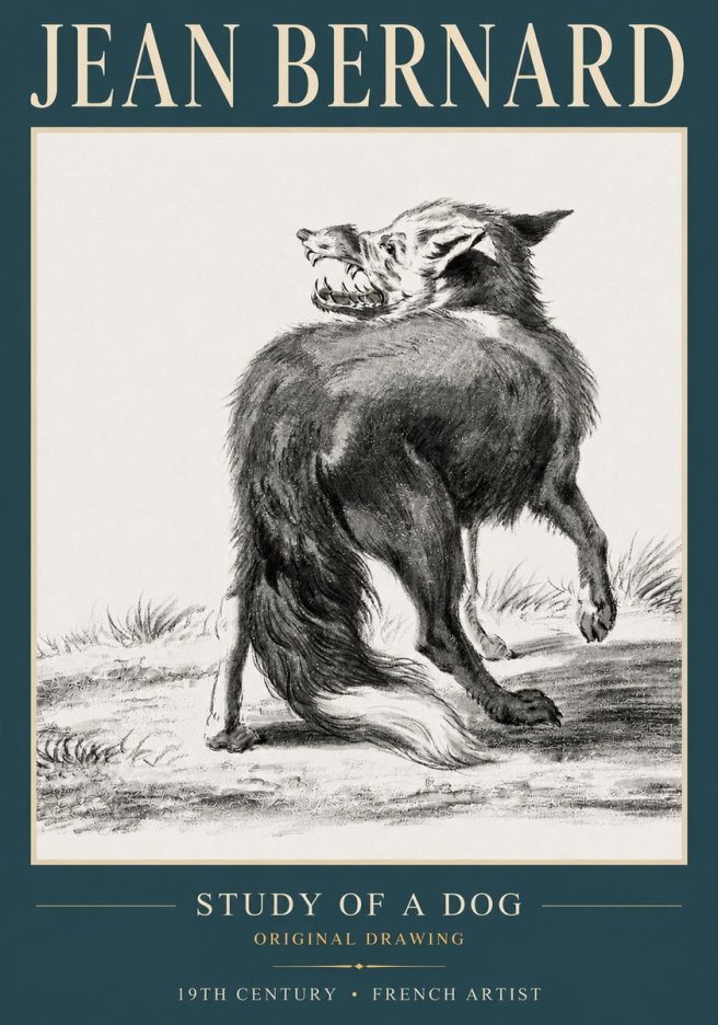 Jean Bernard Study of a Dog II No3 - Plakát
