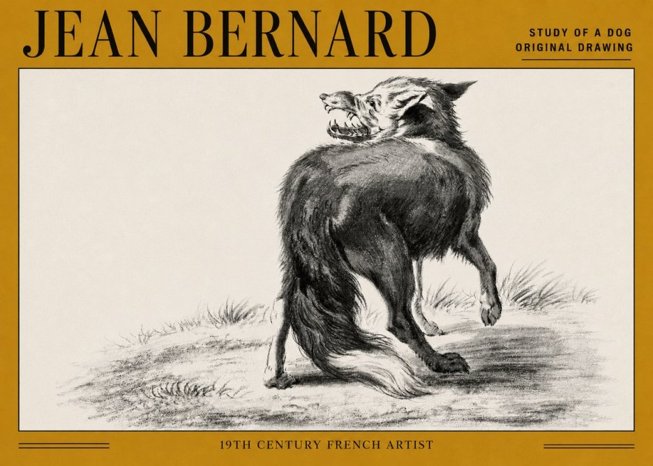 Jean Bernard Study of a Dog II No5 - Plakát