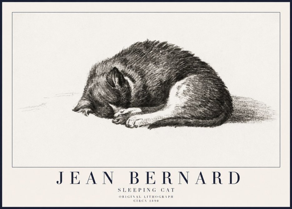 Jean Bernard Sleeping Cat III No6 - Plakát