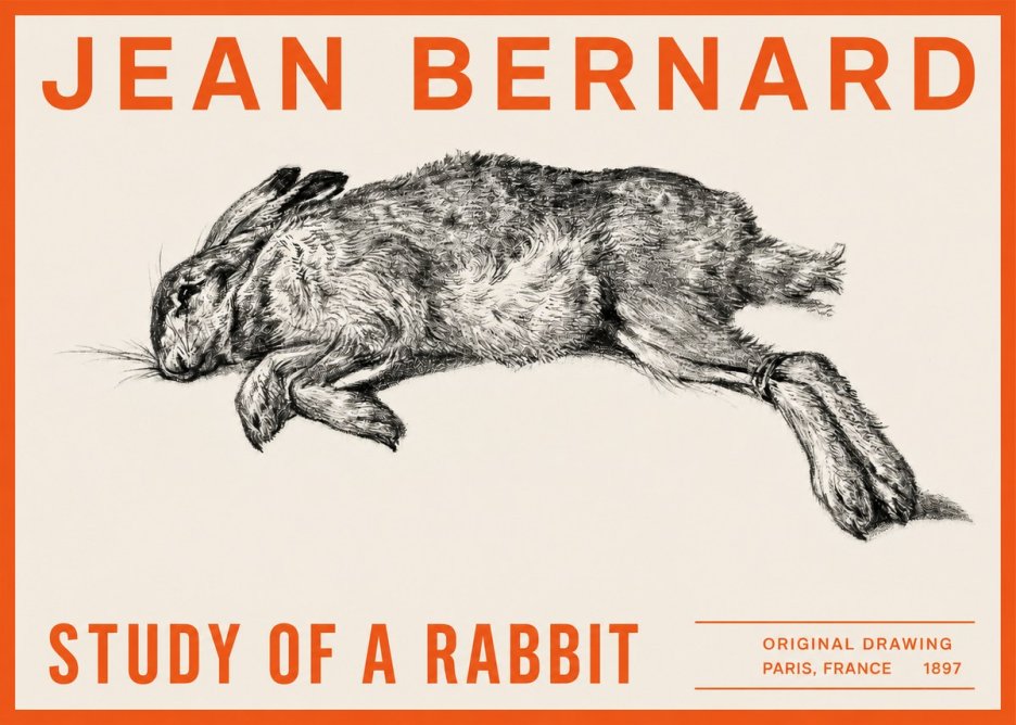 Jean Bernard Study of a Rabbit No2 - Plakát
