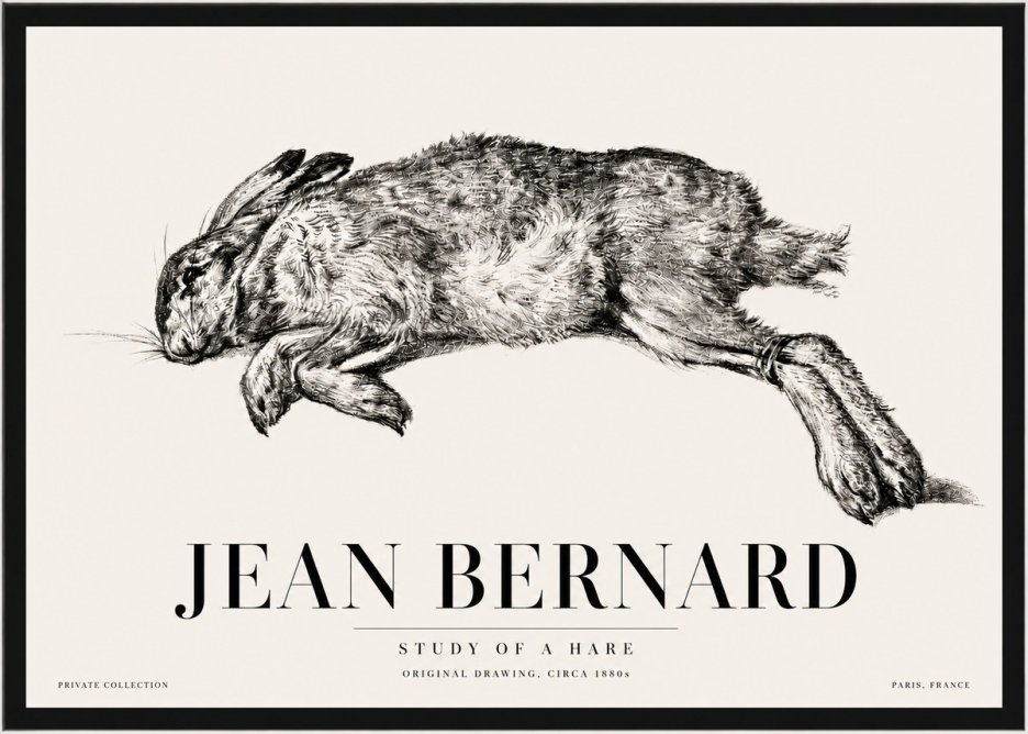Jean Bernard Study of a Rabbit No5 - Plakát