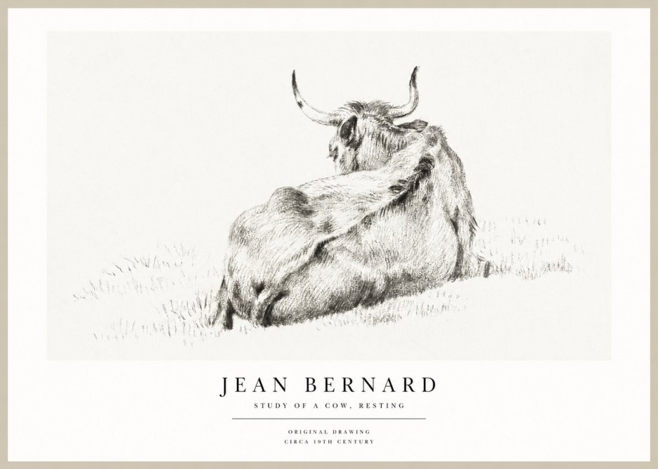 Jean Bernard Resting Bovine - Study in Graphite No2 - Plakát