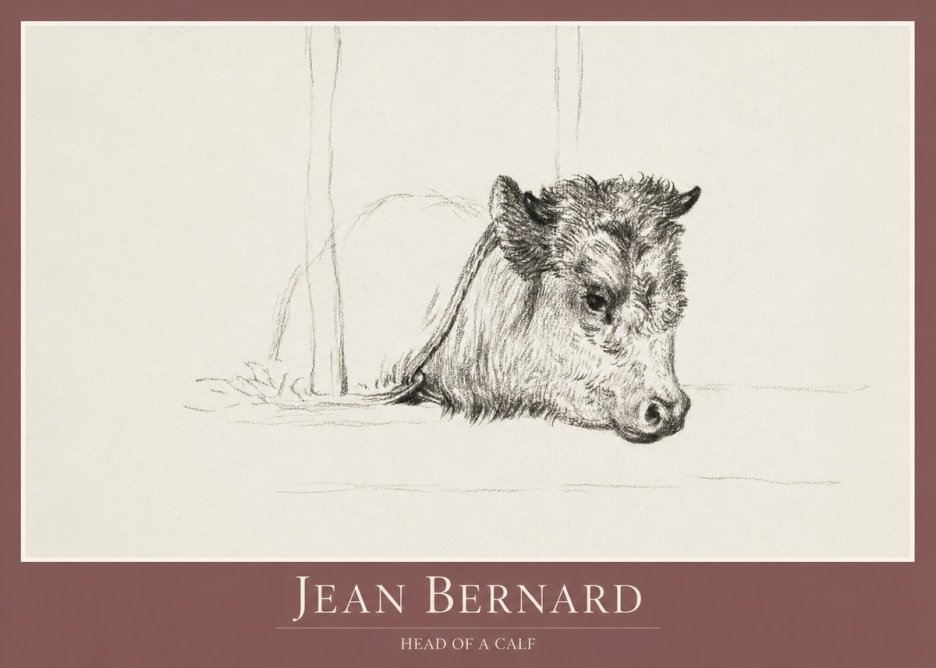Jean Bernard Study of a Calf I No2 - Plakát