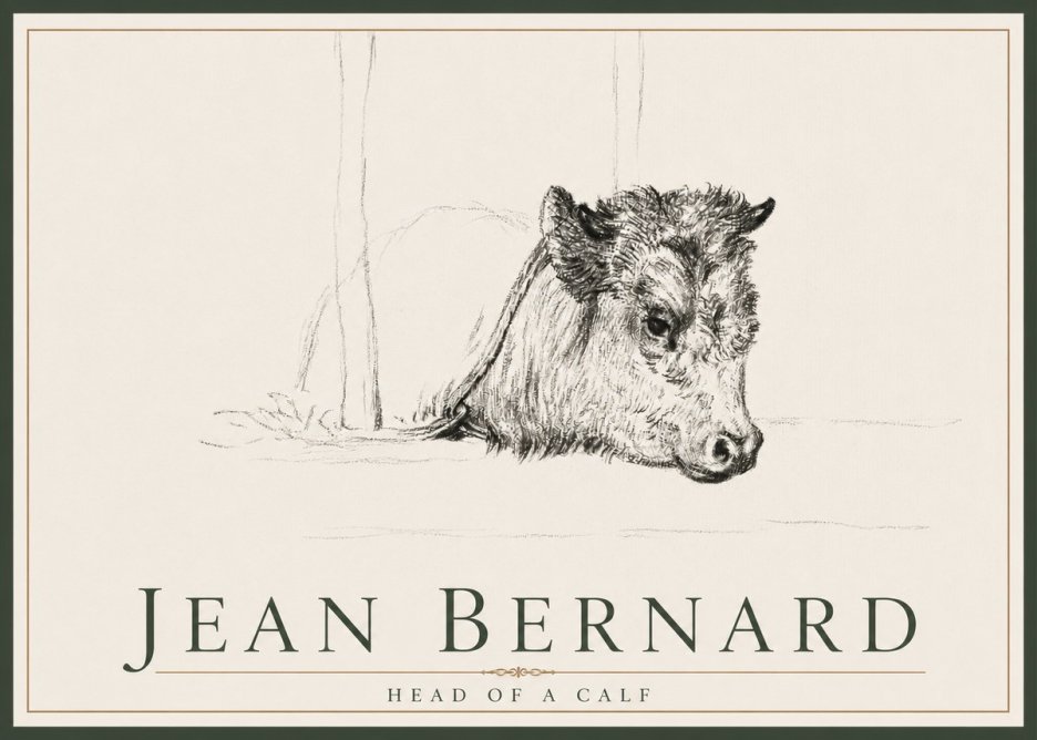 Jean Bernard Study of a Calf I No4 - Plakát