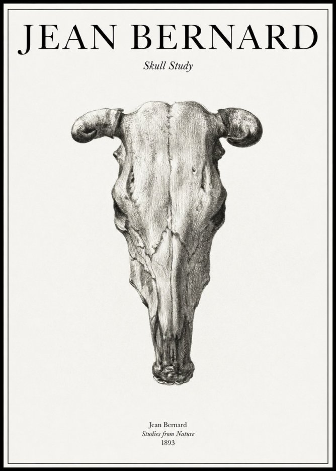 Jean Bernard Skull Study No1 - Plakát
