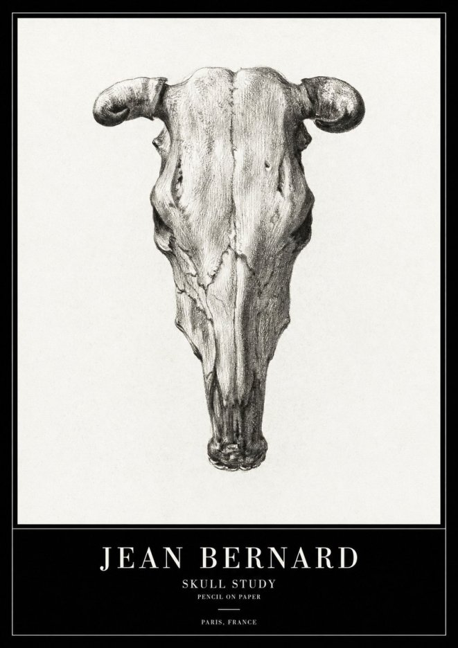 Jean Bernard Skull Study No2 - Plakát