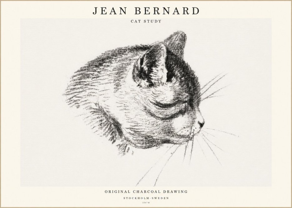 Jean Bernard Cat Study IV No1 - Plakát