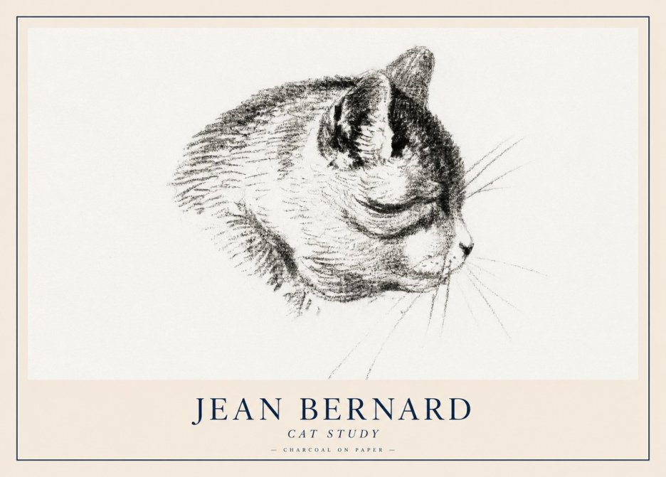 Jean Bernard Cat Study IV No2 - Plakát