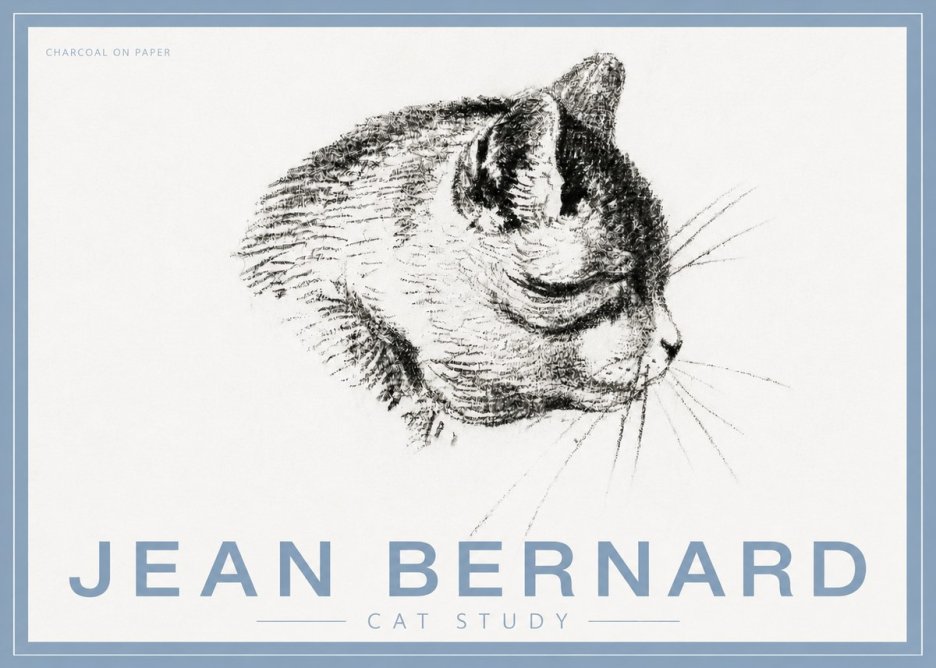Jean Bernard Cat Study IV No5 - Plakát