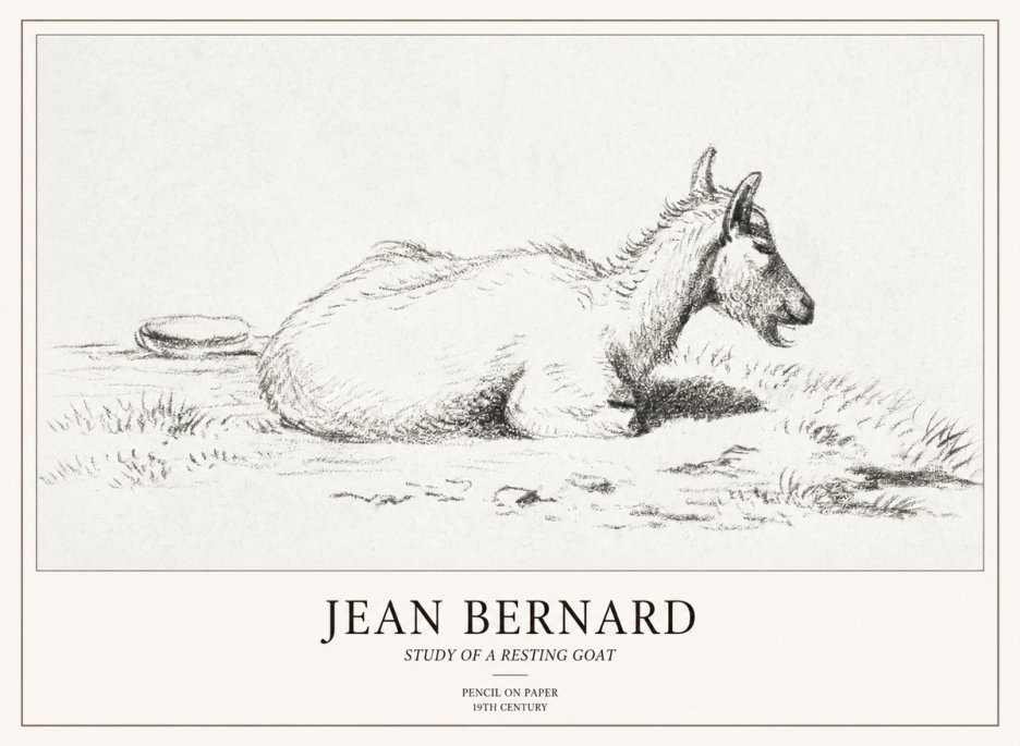 Jean Bernard Study of a Resting Goat No2 - Plakát