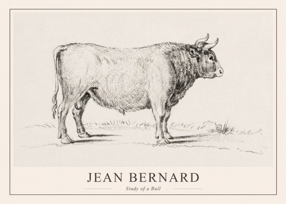Jean Bernard Study of a Bull I No1 - Plakát