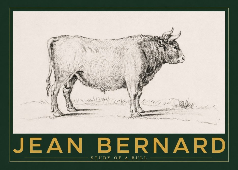 Jean Bernard Study of a Bull I No2 - Plakát